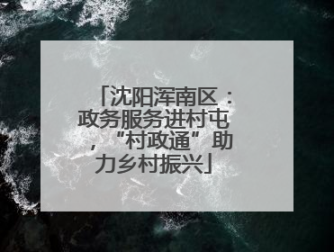 沈阳浑南区：政务服务进村屯，“村政通”助力乡村振兴