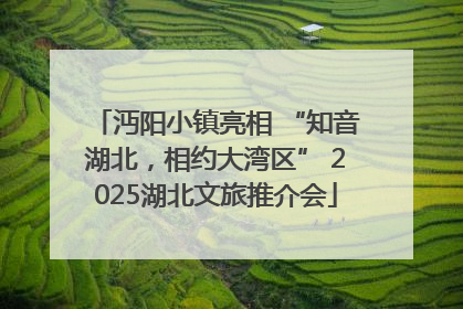 沔阳小镇亮相 “知音湖北，相约大湾区” 2025湖北文旅推介会