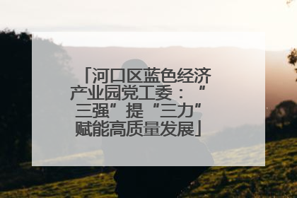 河口区蓝色经济产业园党工委：“三强”提“三力”赋能高质量发展