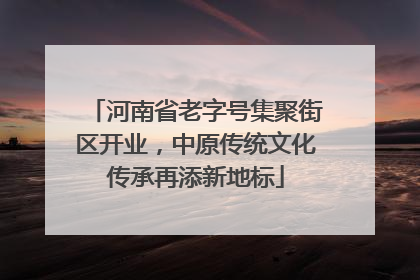 河南省老字号集聚街区开业，中原传统文化传承再添新地标