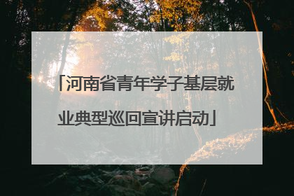 河南省青年学子基层就业典型巡回宣讲启动