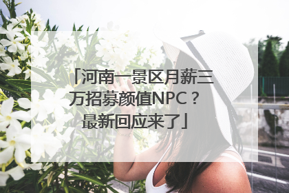 河南一景区月薪三万招募颜值NPC？最新回应来了