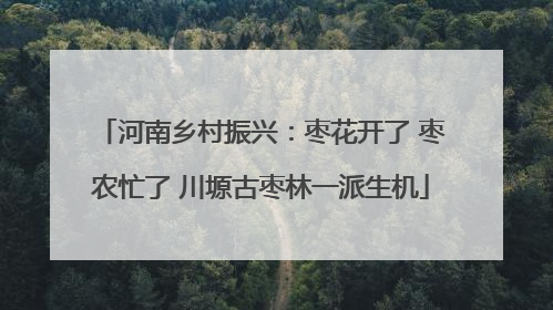 河南乡村振兴：枣花开了 枣农忙了 川塬古枣林一派生机