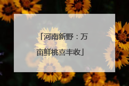 河南新野：万亩鲜桃喜丰收
