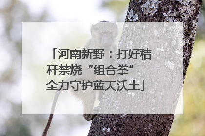 河南新野：打好秸秆禁烧“组合拳” 全力守护蓝天沃土