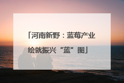 河南新野：蓝莓产业绘就振兴“蓝”图