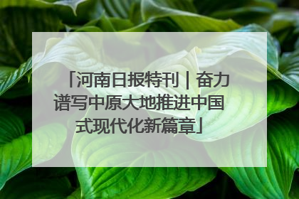 河南日报特刊｜奋力谱写中原大地推进中国式现代化新篇章