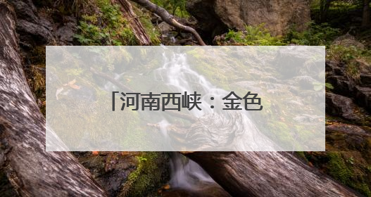 河南西峡：金色麦浪迎丰收 多措并举保“三夏”