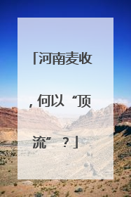 河南麦收，何以“顶流”？