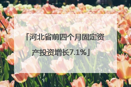 河北省前四个月固定资产投资增长7.1%