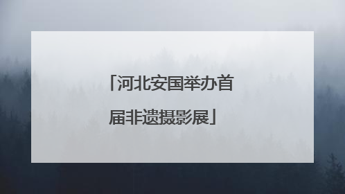 河北安国举办首届非遗摄影展