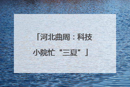 河北曲周：科技小院忙“三夏”