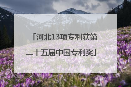 河北13项专利获第二十五届中国专利奖