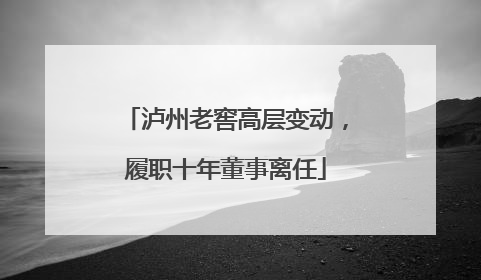 泸州老窖高层变动，履职十年董事离任