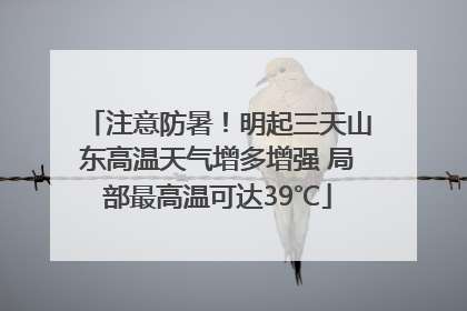 注意防暑！明起三天山东高温天气增多增强 局部最高温可达39℃