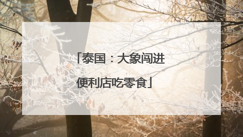 泰国：大象闯进便利店吃零食
