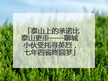 泰山上的承诺比泰山更重——聊城小伙受托寻英烈，七年四省终圆梦