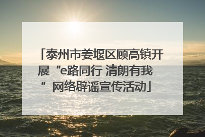 泰州市姜堰区顾高镇开展“e路同行 清朗有我”网络辟谣宣传活动