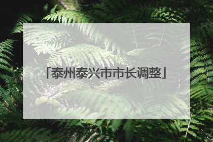 泰州泰兴市市长调整