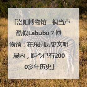 洛阳博物馆一铜当卢酷似Labubu？博物馆：在东周历史文明展内，距今已有2000多年历史