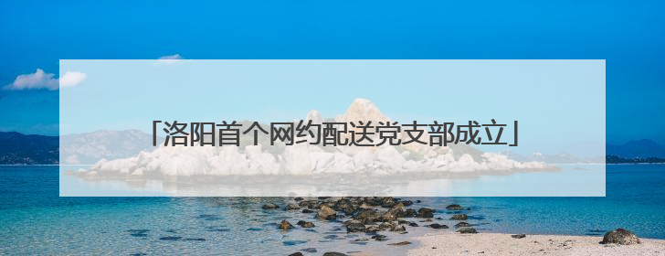 洛阳首个网约配送党支部成立