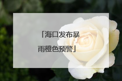 海口发布暴雨橙色预警