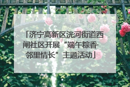 济宁高新区洸河街道西闸社区开展“端午粽香·邻里情长”主题活动