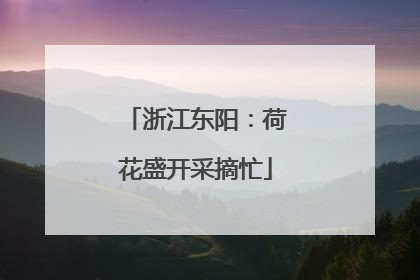 浙江东阳：荷花盛开采摘忙