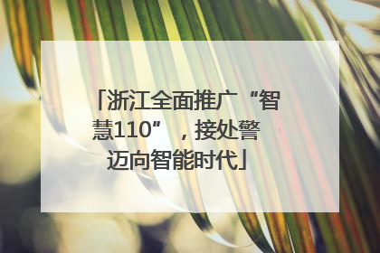 浙江全面推广“智慧110”，接处警迈向智能时代