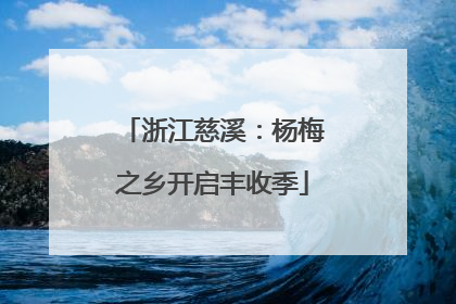 浙江慈溪：杨梅之乡开启丰收季