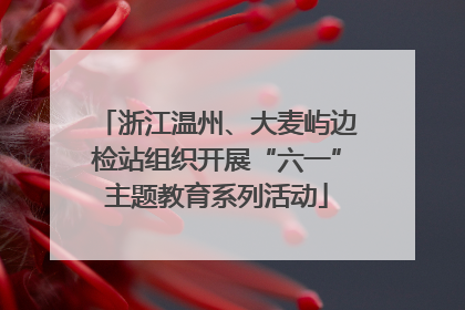 浙江温州、大麦屿边检站组织开展“六一”主题教育系列活动