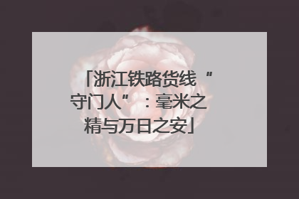 浙江铁路货线“守门人”：毫米之精与万日之安