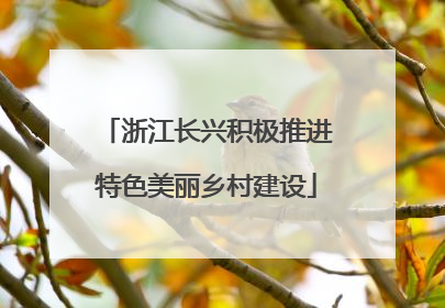 浙江长兴积极推进特色美丽乡村建设