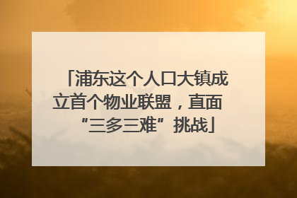 浦东这个人口大镇成立首个物业联盟，直面“三多三难”挑战