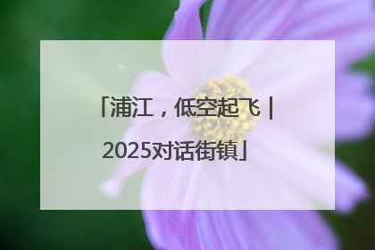 浦江，低空起飞｜2025对话街镇