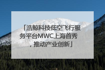 浩鲸科技低空飞行服务平台MWC上海首秀，推动产业创新
