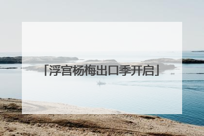 浮宫杨梅出口季开启