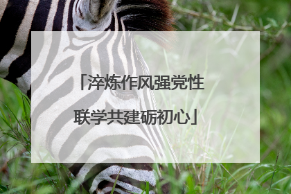 淬炼作风强党性 联学共建砺初心