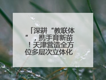 深耕“教联体”，携手育新苗！天津营造全方位多层次立体化育人环境→
