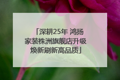 深耕25年 鸿扬家装株洲旗舰店升级焕新刷新高品质