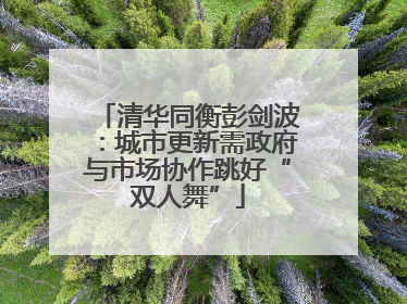清华同衡彭剑波：城市更新需政府与市场协作跳好“双人舞”
