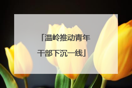温岭推动青年干部下沉一线