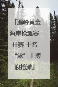 温岭黄金海岸抢滩赛开赛 千名“泳”士搏浪抢滩