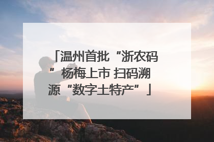 温州首批“浙农码”杨梅上市 扫码溯源“数字土特产”