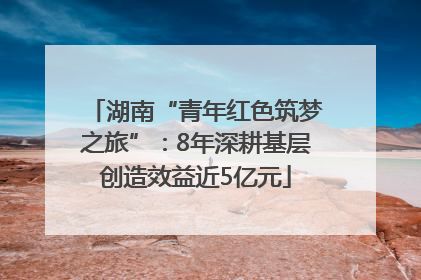 湖南“青年红色筑梦之旅”：8年深耕基层创造效益近5亿元