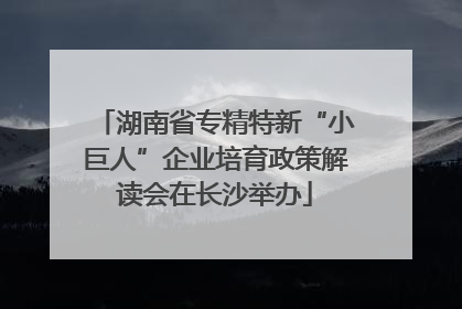 湖南省专精特新“小巨人”企业培育政策解读会在长沙举办