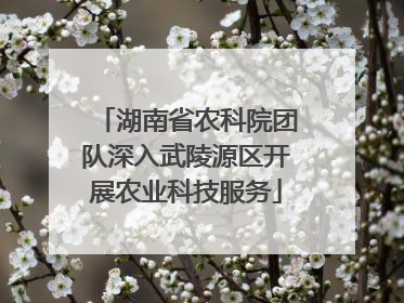 湖南省农科院团队深入武陵源区开展农业科技服务