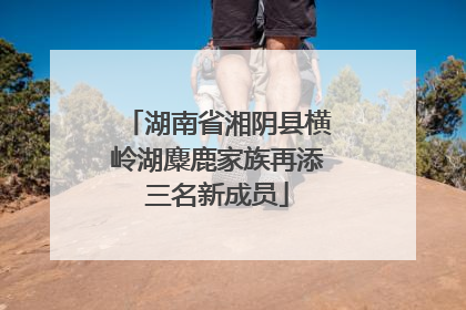 湖南省湘阴县横岭湖麋鹿家族再添三名新成员