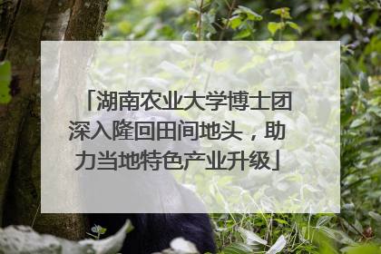 湖南农业大学博士团深入隆回田间地头，助力当地特色产业升级