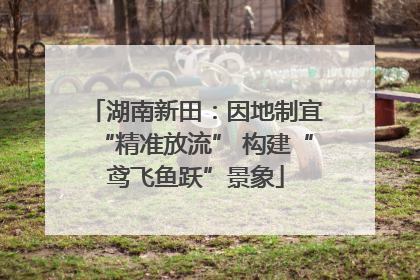 湖南新田：因地制宜“精准放流” 构建“鸢飞鱼跃”景象
